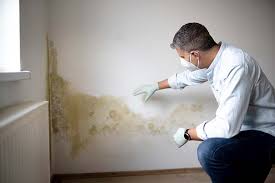 Best Air Quality Testing for Mold Spores  in Roseville, MI